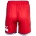 Middlesbrough FC Men's Home Soccer Shorts 2023-24