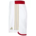 Arsenal Men's Home Soccer Shorts 2023-24