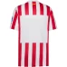 Atlético de Madrid Mens Home Soccer Jersey 2025