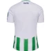 Real Betis Mens Home Soccer Jersey 2023-24