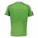Real Betis Mens The Year Of The Snake Pre-Match Soccer Jersey 2025