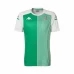 Real Betis Short Training Soccer Jersey Green 2020 2021