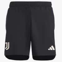 Juventus Mens Third Soccer Shorts 2023-24