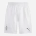 AC Milan Mens Away Soccer Shorts 2023-24