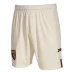 Torino Mens Home Soccer Shorts 2023-24