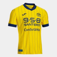 Hellas Verona Mens Fourth Soccer Jersey 2024-25