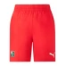 Sassuolo Mens Goalkeeper Away Soccer Shorts 2023-24