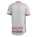 Men's New York Red Bulls Gray 2019 Primary Authentic Soccer Jersey