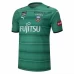 Kawasaki Frontale Goalkeeper Green Soccer Jersey 2021 2022