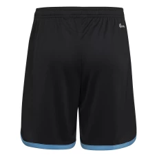 Argentina Home Soccer Shorts 2022-23