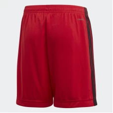 Belguim Home Shorts 2019 2020