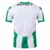 Atletico Nacional Mens Home Soccer Jersey 2023