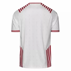 Denmark Special Edition Soccer Jersey 2022