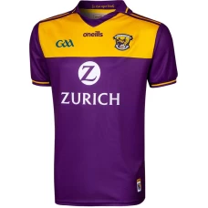 Wexford GAA 2 Stripe Home Soccer Jersey 2021