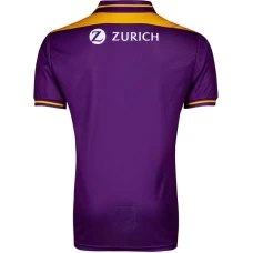 Wexford GAA 2 Stripe Home Soccer Jersey 2021