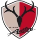 Kashima Antlers