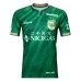 Tokyo Verdy Mens Home Soccer Jersey 2025 