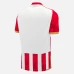 Red Star Belgrade Mens Home Soccer Jersey 2024-25