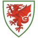 Wales National Team